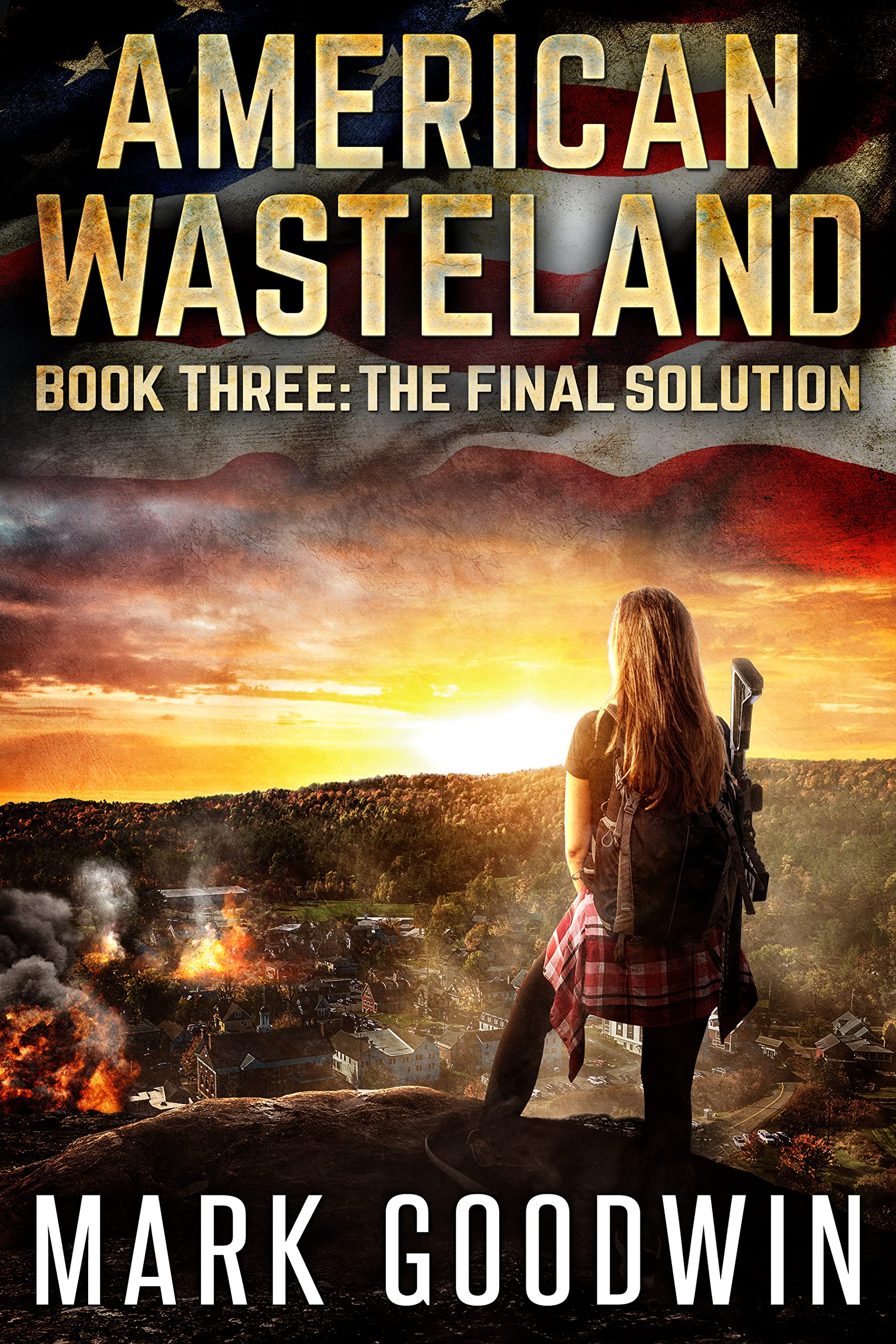 The Final Solution (American Wasteland Book 3)