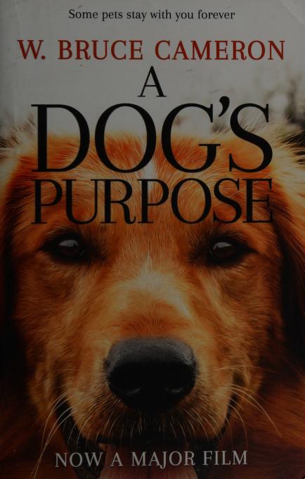 A Dog's Purpose