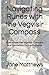 Navigating Runes with the Vegvisir Compass: How to use the Vegvisir Compass as a Divination Tool with Runes