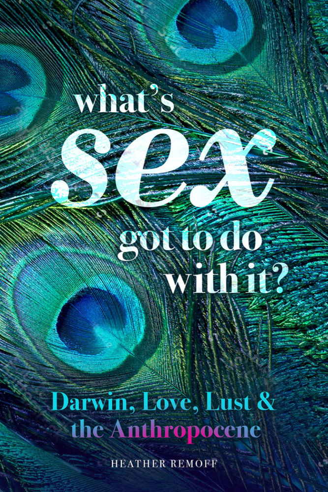 What’s Sex Got To Do With It?: Darwin, Love, Lust, and the Anthropocene