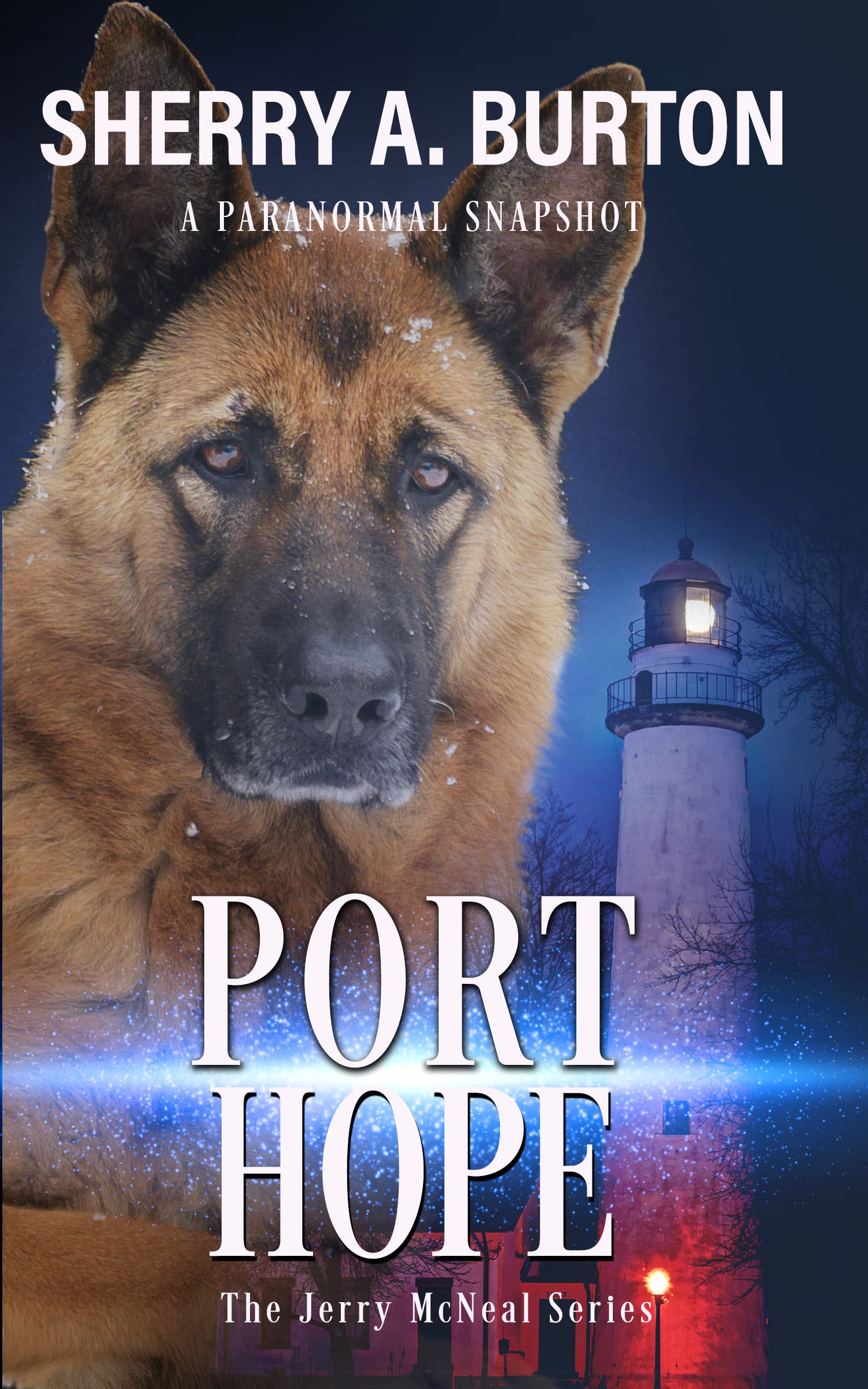 Port Hope (Jerry McNeal, #5)
