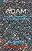ADAM: A Close Encounter With A Cosmic Visitor