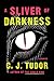 A Sliver of Darkness
