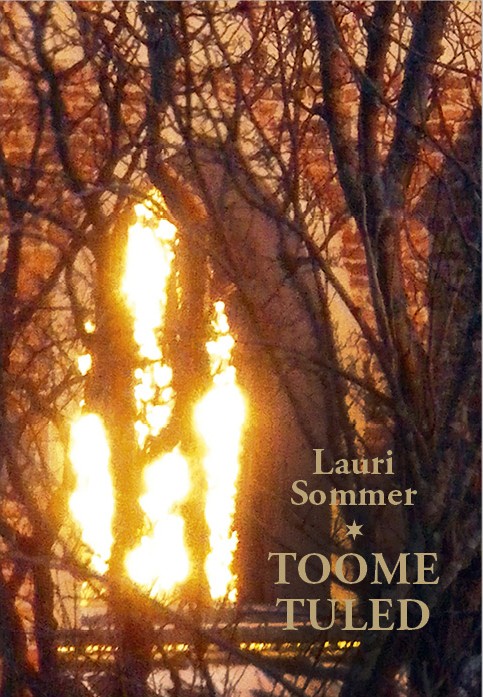 Toome tuled (Hardcover)