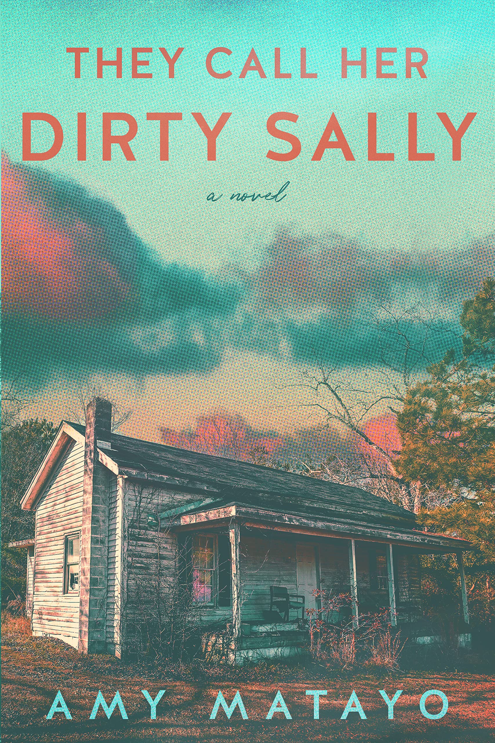 They Call Her Dirty Sally (ebook)