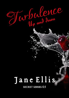 Turbulence: Up and Down (Secret series Vol. 1)