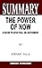 SUMMARY OF THE POWER OF NOW...