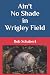 Ain't No Shade in Wrigley Field by Rob Schabert