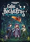 Gatos y hechiceras by Catherine Kalengula