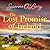 The Lost Promise of Ireland...
