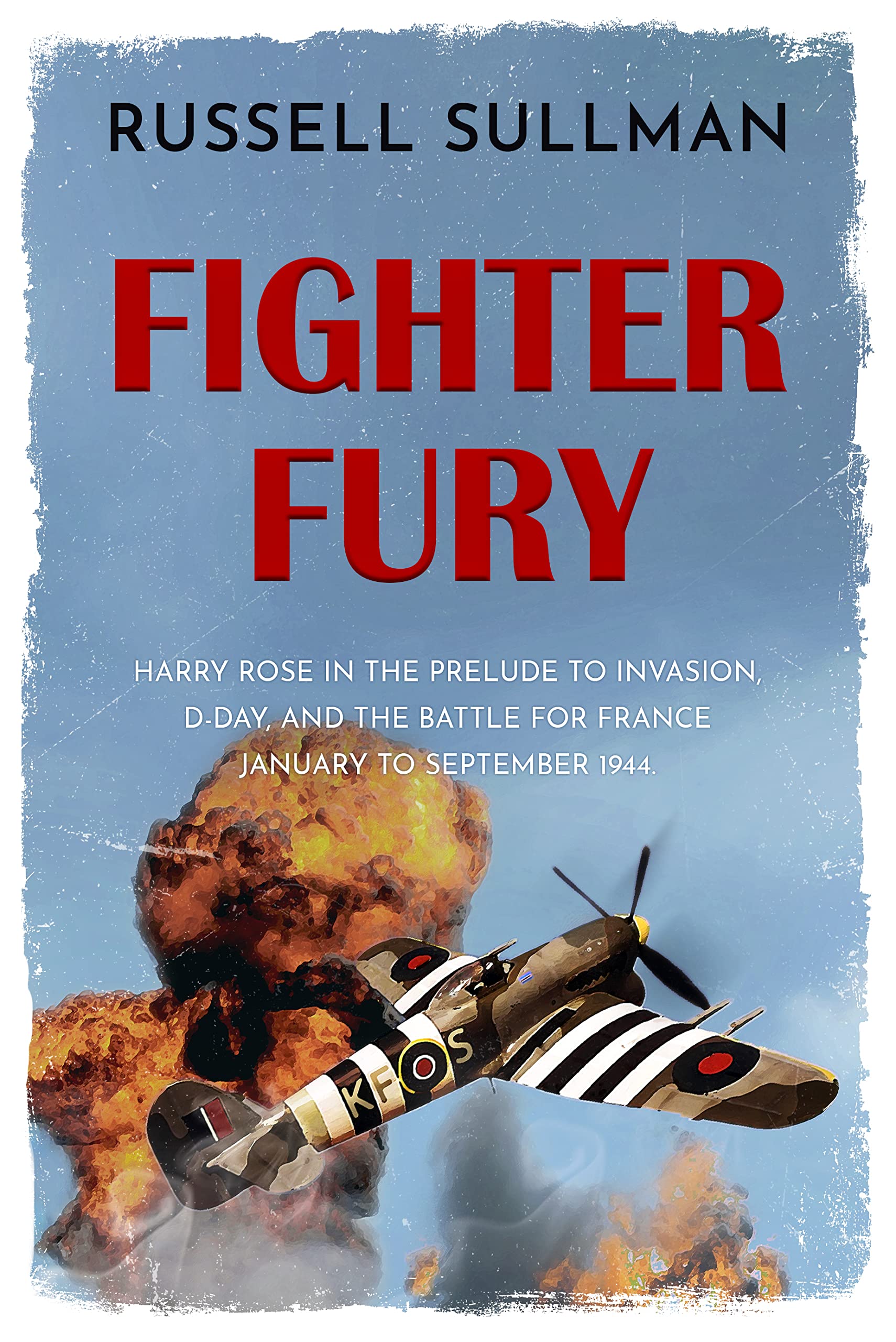 Fighter Fury (Harry Rose Novels, #4)