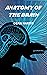 ANATOMY OF THE BRAIN