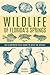 Wildlife of Florida's Sprin...