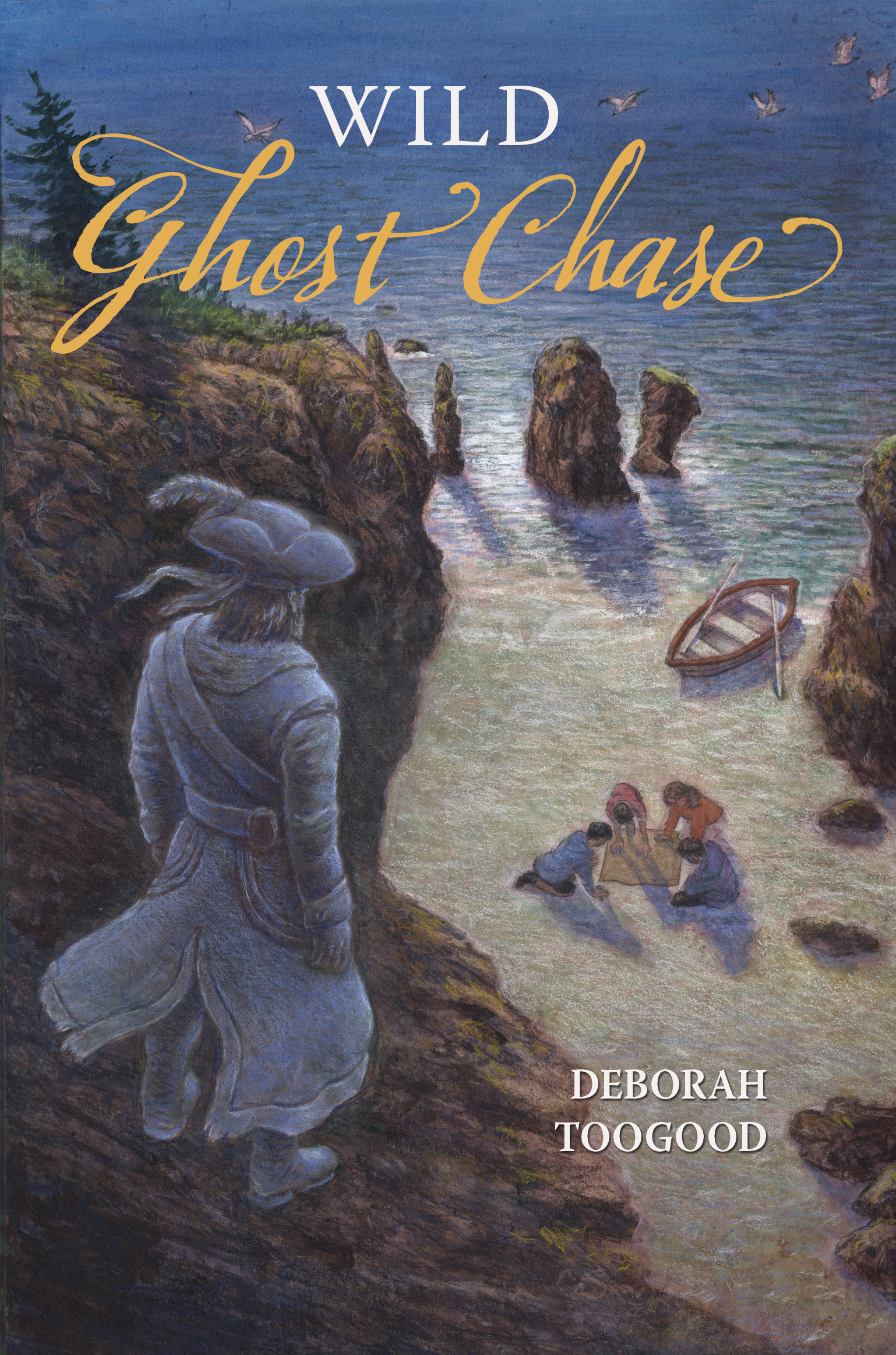 Wild Ghost Chase (Paperback)