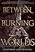 Between Burning Worlds (System Divine, #2)