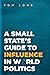 A Small State's Guide to Influence in World Politics (Bridging the Gap)