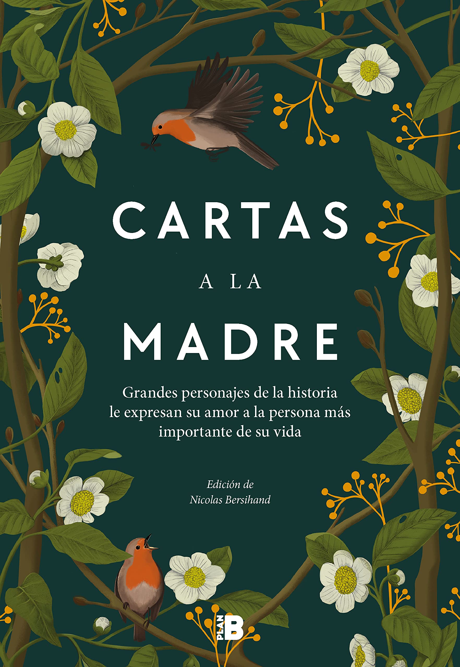 Cartas a la madre: Grandes figuras de la historia le expresan su amor a la persona más importante de su vida (Hardcover)