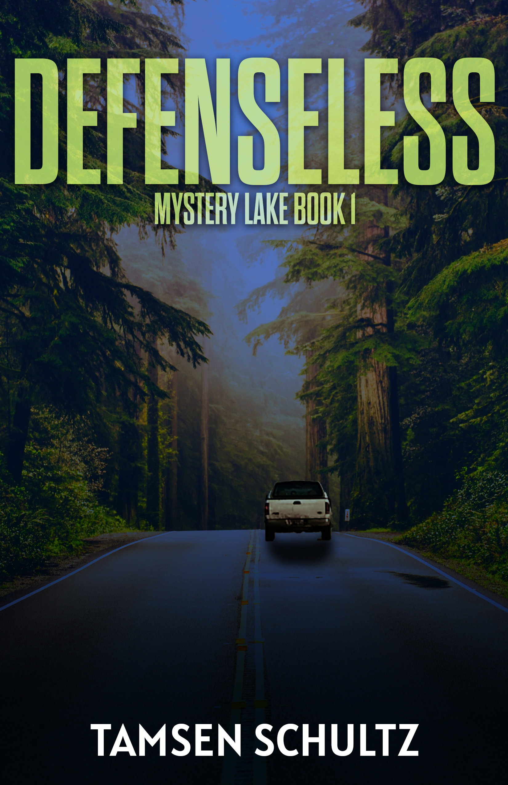 Defenseless (Mystery Lake, #1)