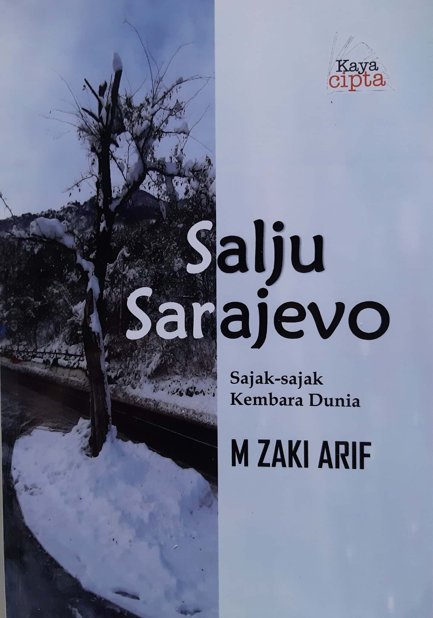 Salju Sarajevo
