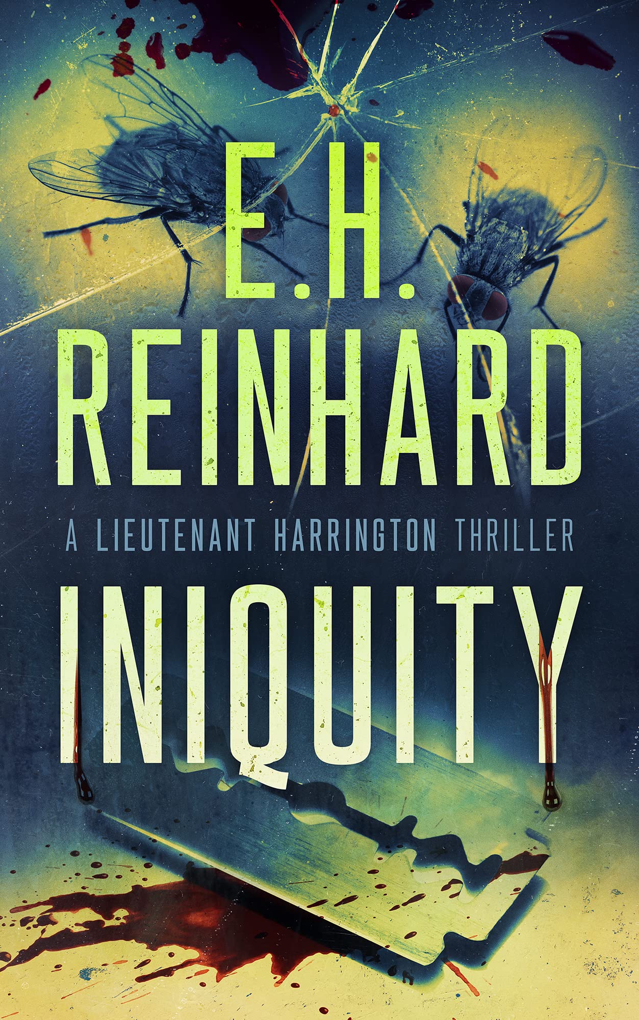 Iniquity (The Nash Harrington Crime Thriller Series Book 10)