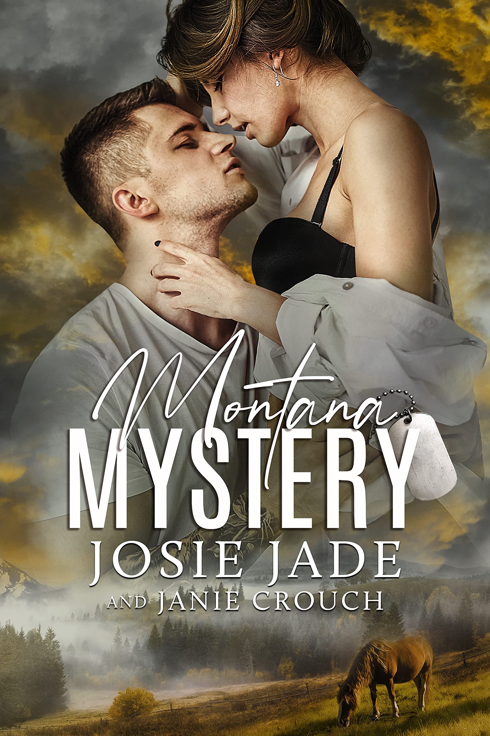 Montana Mystery (Resting Warrior Ranch, #4)