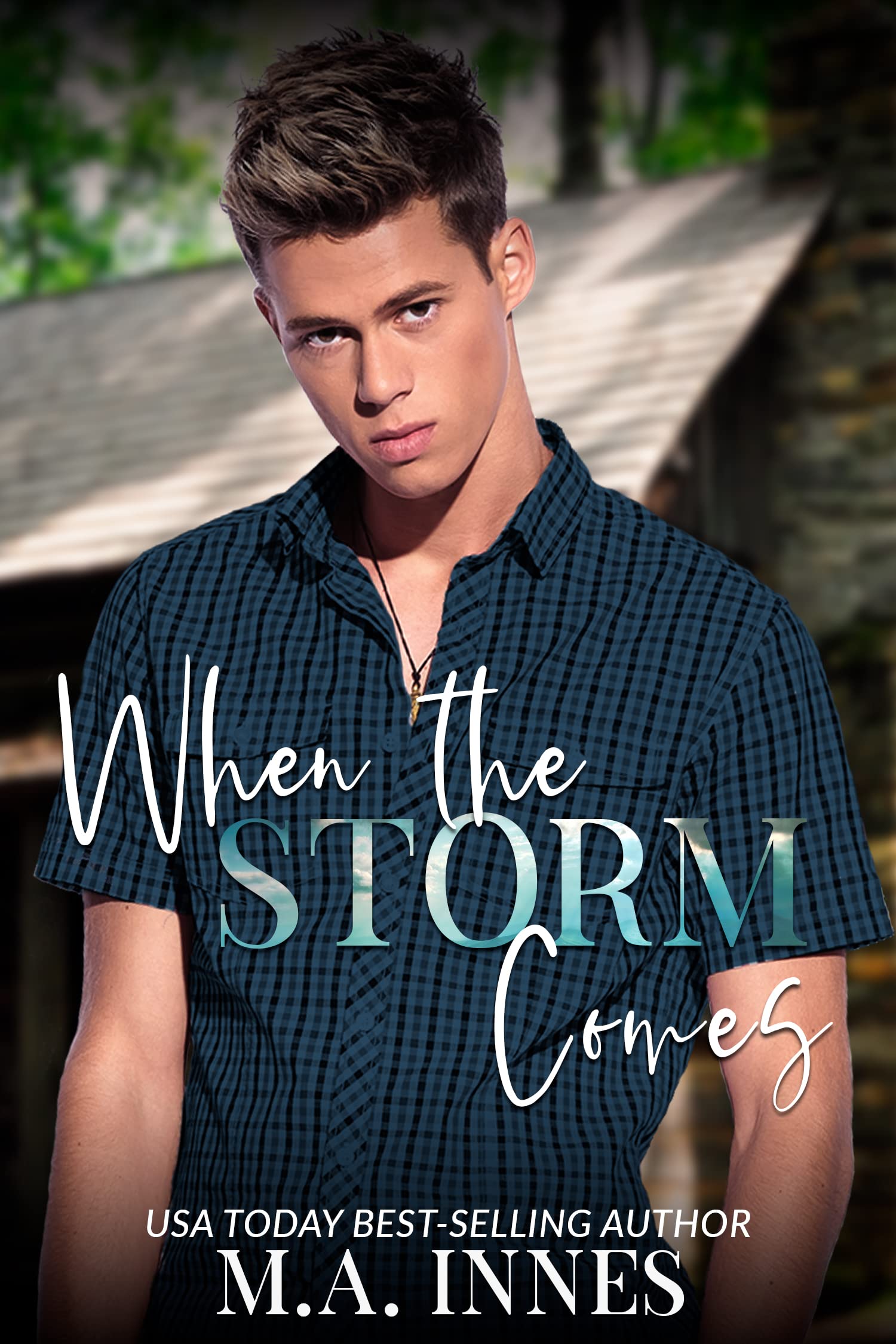When the Storm Comes (Trouble Comes in Threes #1)
