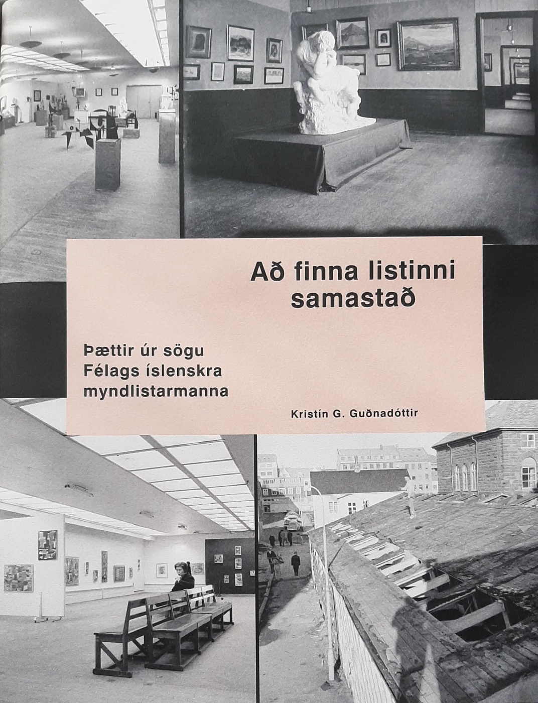 Að finna listinni samastað : þættir úr sögu Félags íslenskra myndlistarmanna