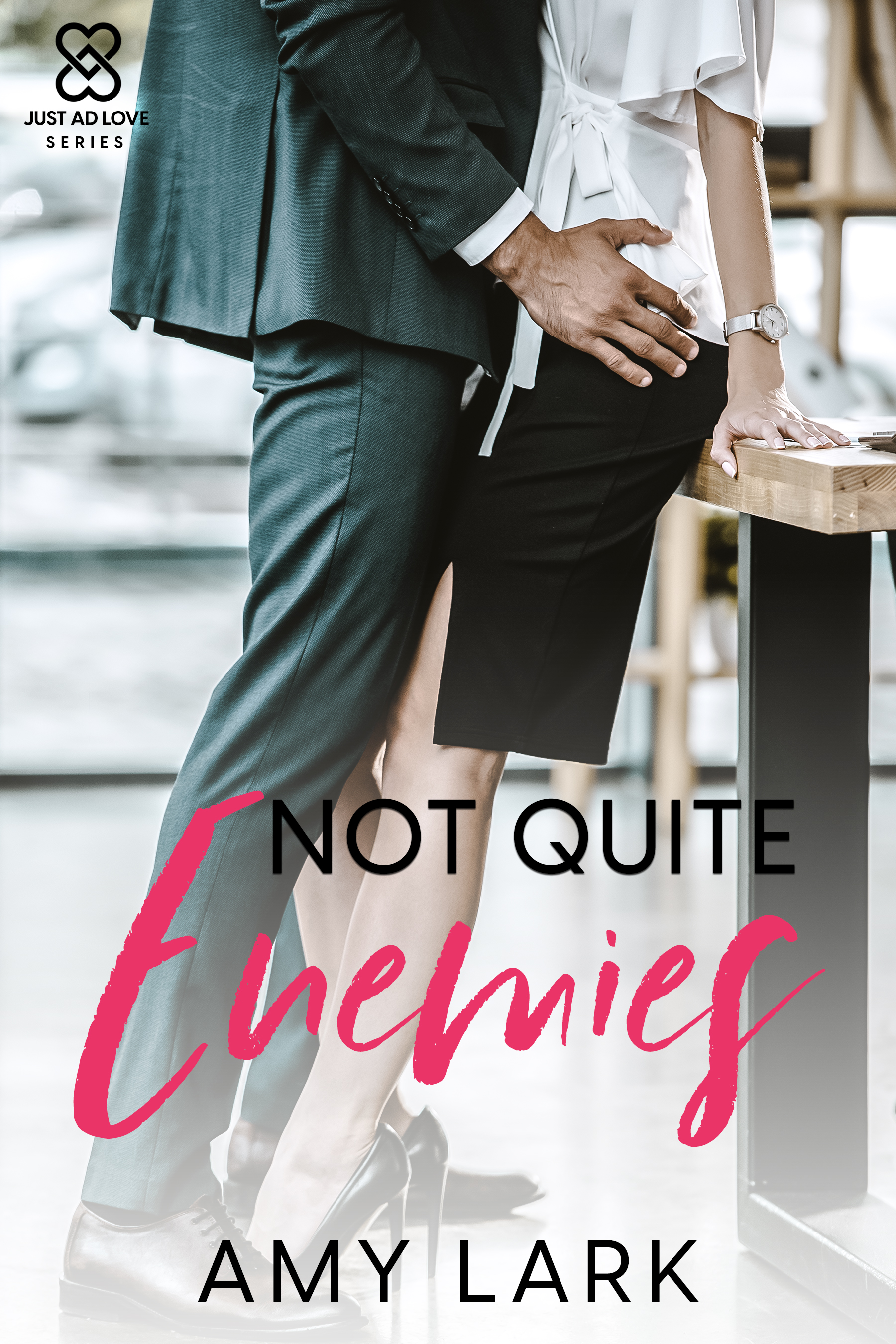 Not Quite Enemies (Paperback)
