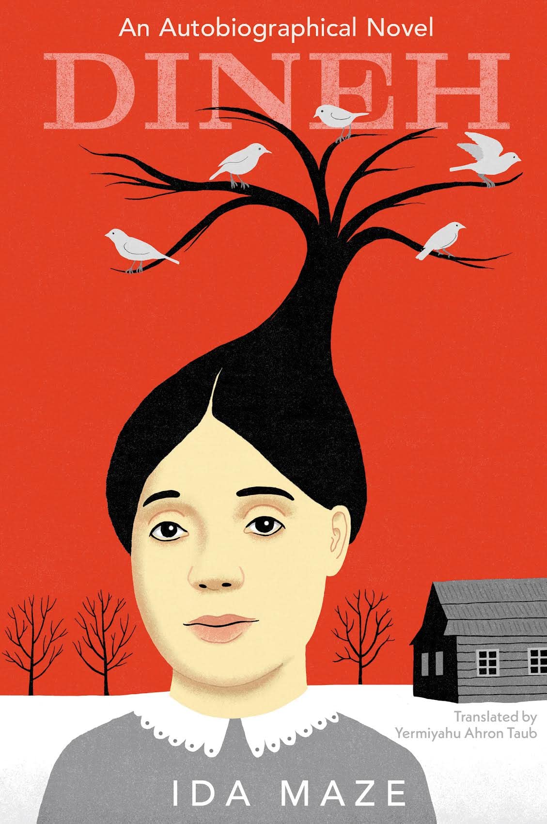 Dineh: An Autobiographical Novel (Paperback)