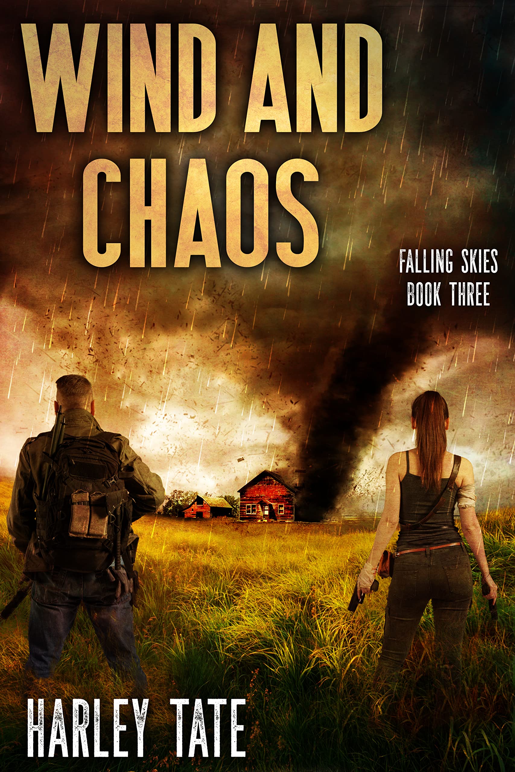 Wind and Chaos: A Post-Apocalyptic Survival Thriller (Kindle Edition)