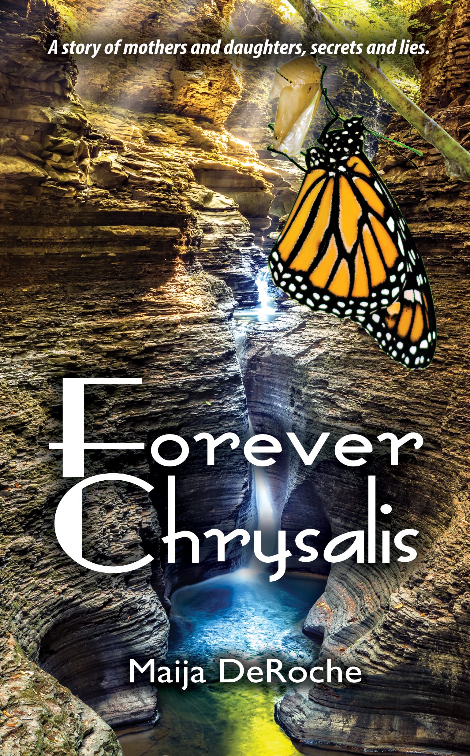 Forever Chrysalis (Kindle Edition)