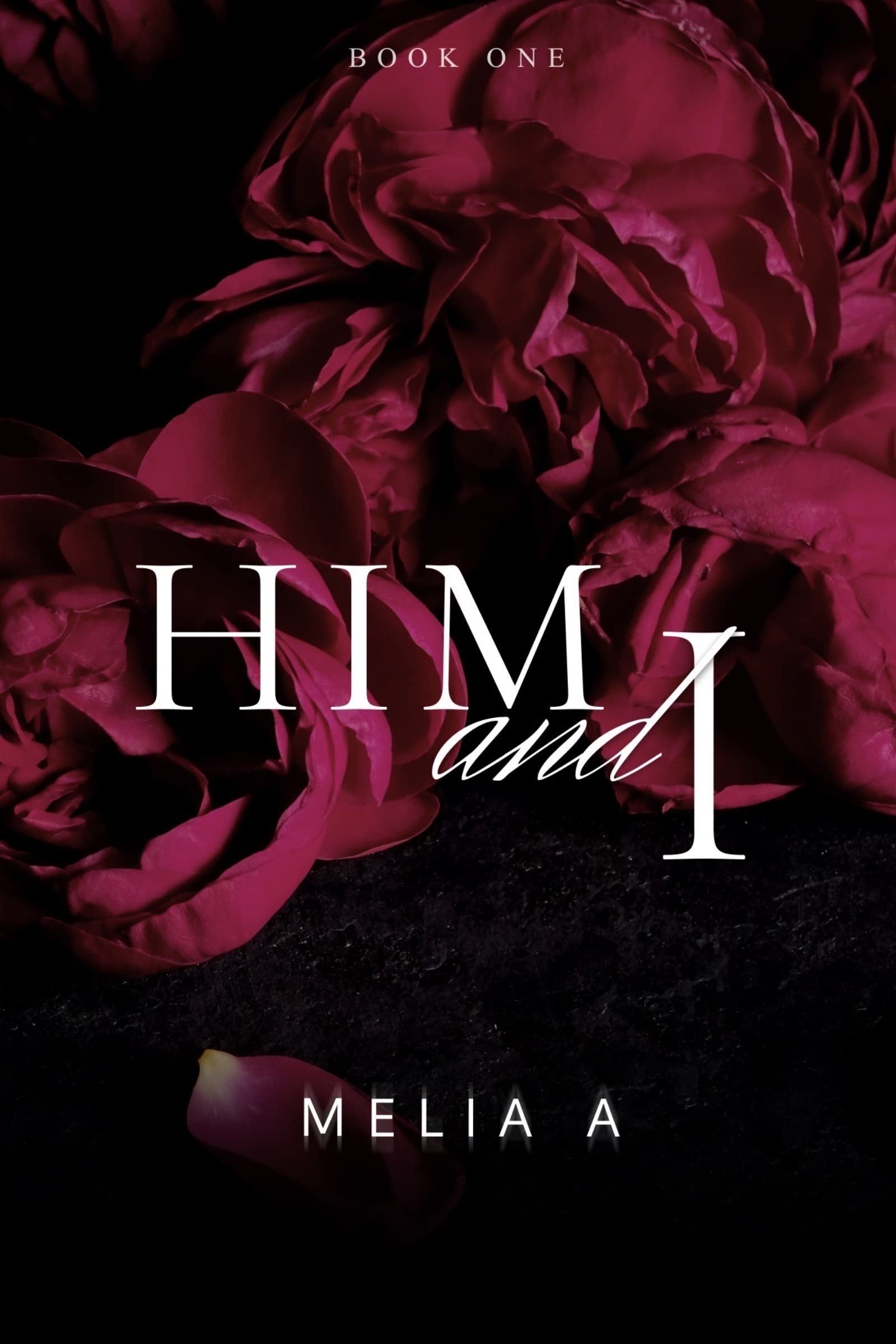 Him and I (Him & I Series #1)