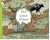 The great rifasa by Rohini Nilekani