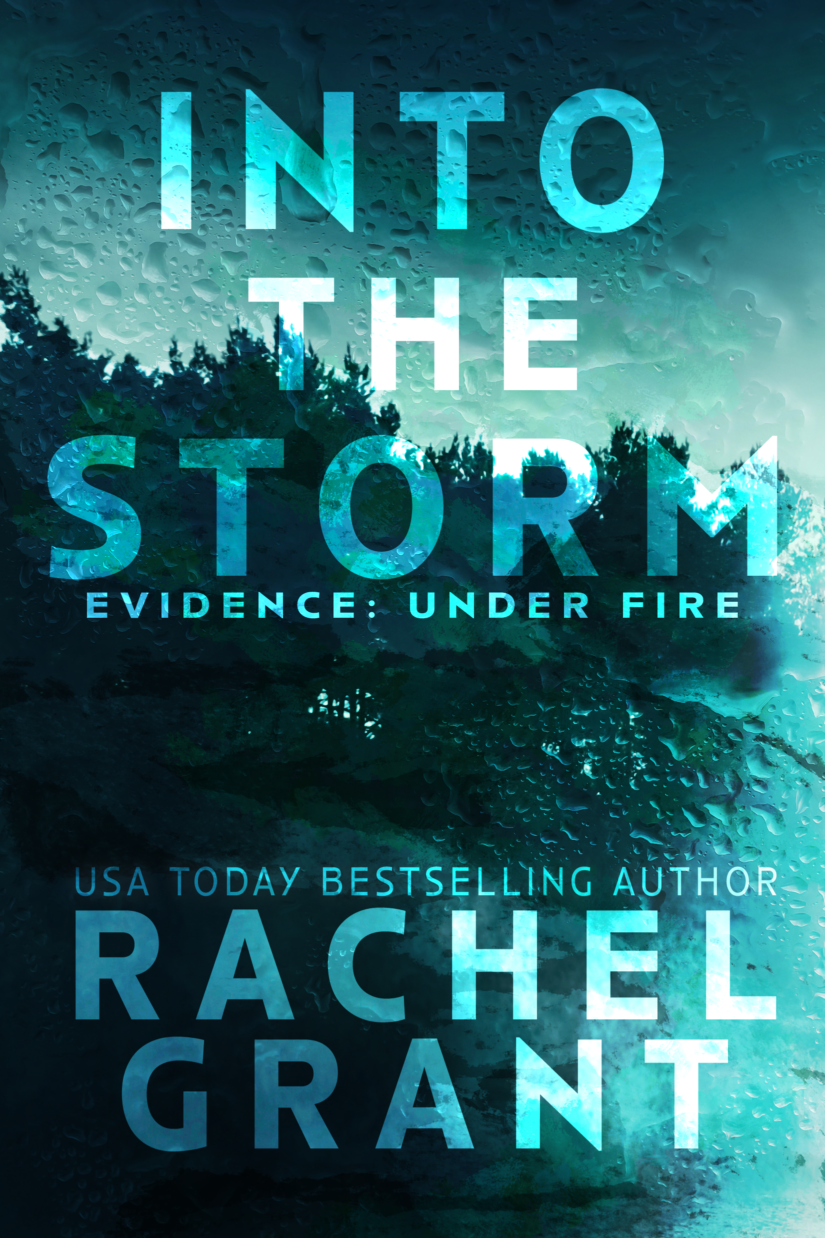 Into the Storm (Evidence: Under Fire, #1)