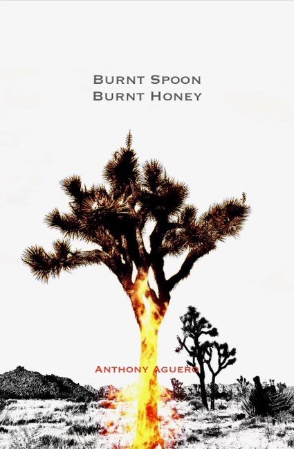 Burnt Spoon Burnt Honey (Unknown Binding)