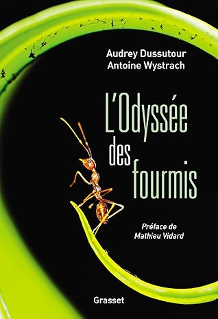 L'Odyssée des fourmis: Préface de Mathieu Vidard