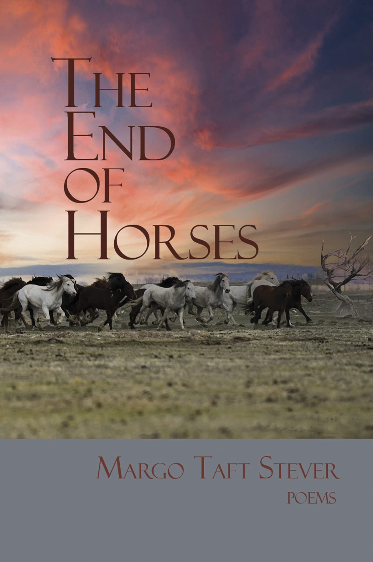 The End of Horses (Paperback)