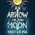 An Arrow to the Moon