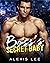 Boss’s Secret Baby