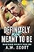 Definitely Not Meant to Be (NightShade Security #1)