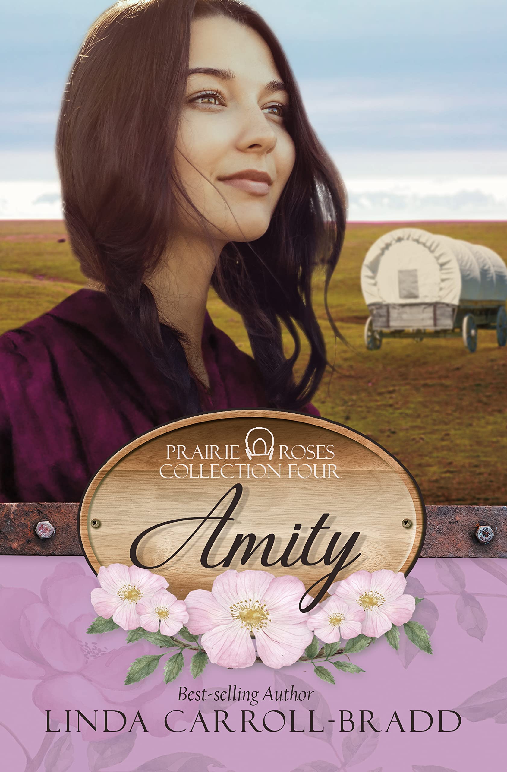 Amity (Prairie Roses Collection, #21)