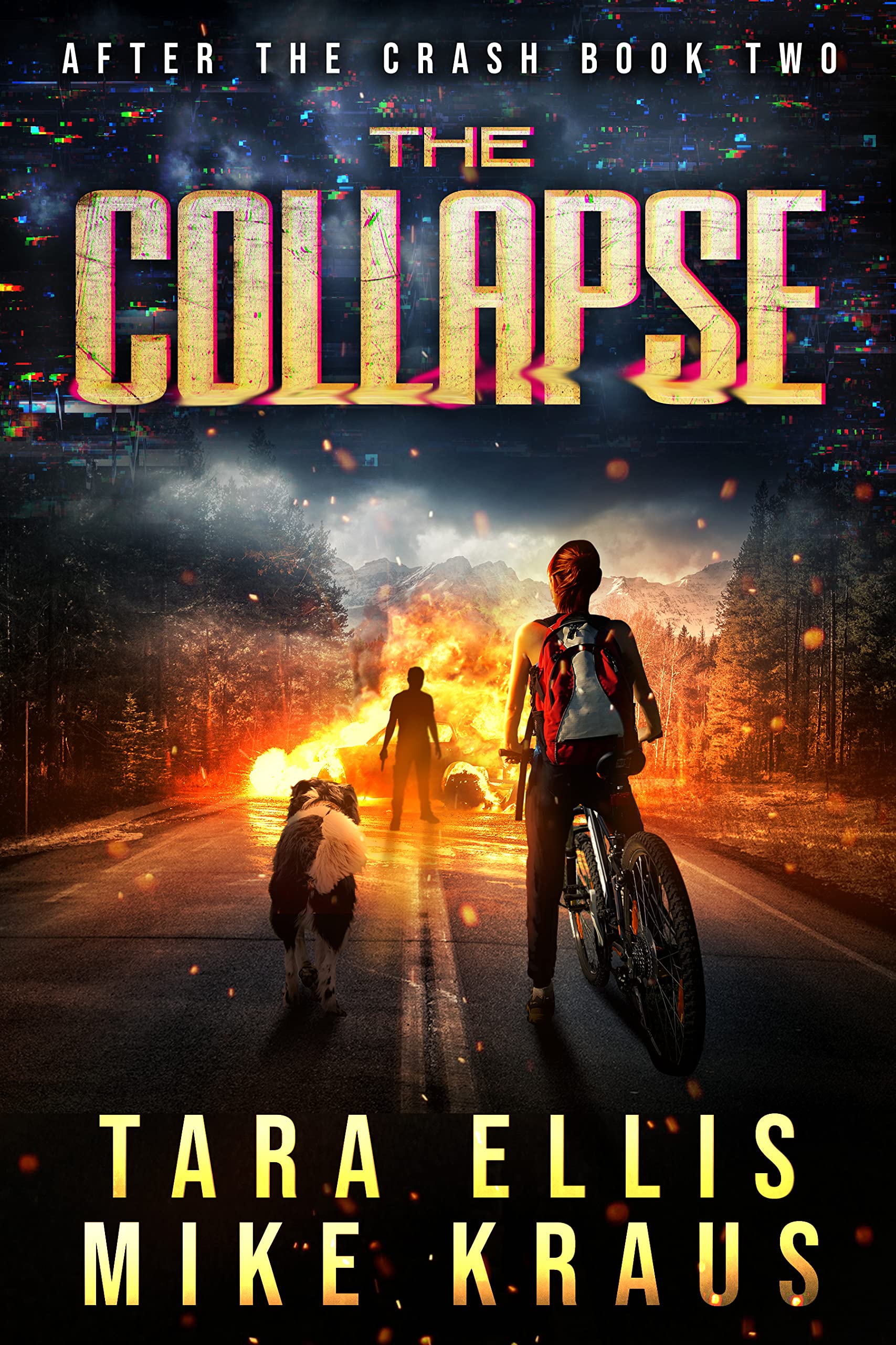 The Collapse (After the Crash #2)
