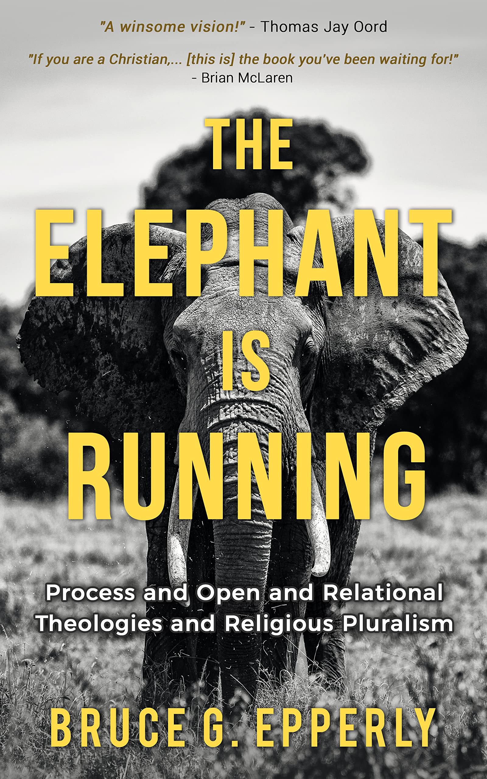 The Elephant is Running: Process and Open and Relational Theologies and Religious Pluralism (Kindle Edition)