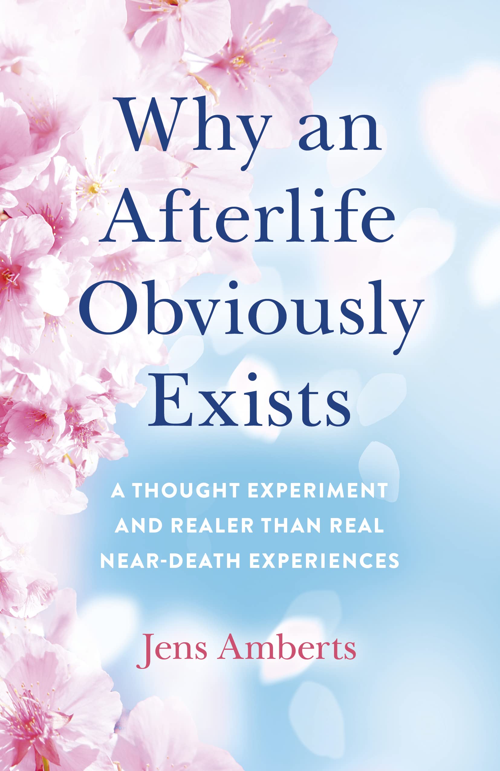 Why an Afterlife Obviously Exists: A Thought Experiment and Realer Than Real Near-Death Experiences (Kindle Edition)