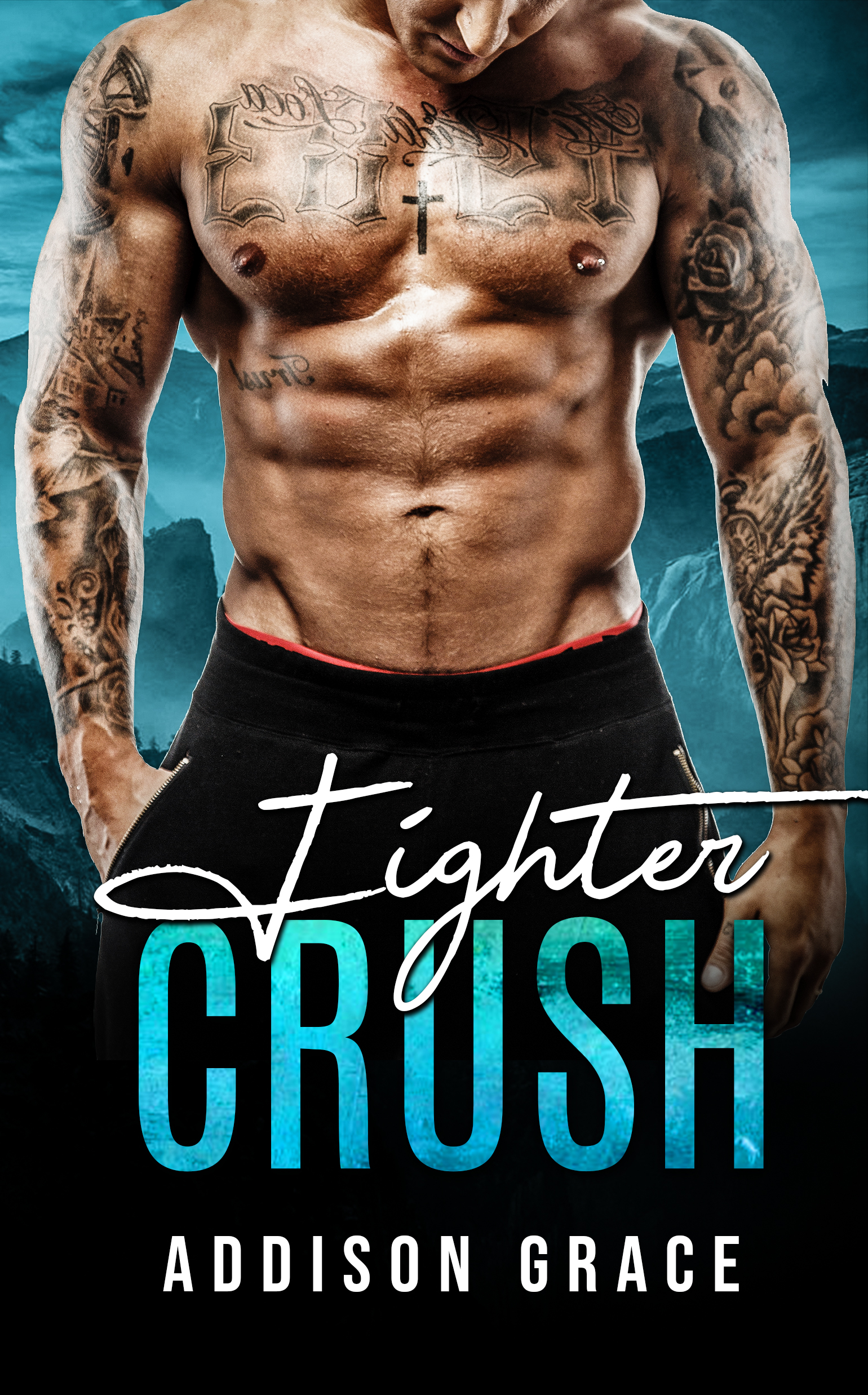 Fighter Crush (Kindle Edition)
