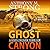 Ghost Canyon (John Decker, #7)