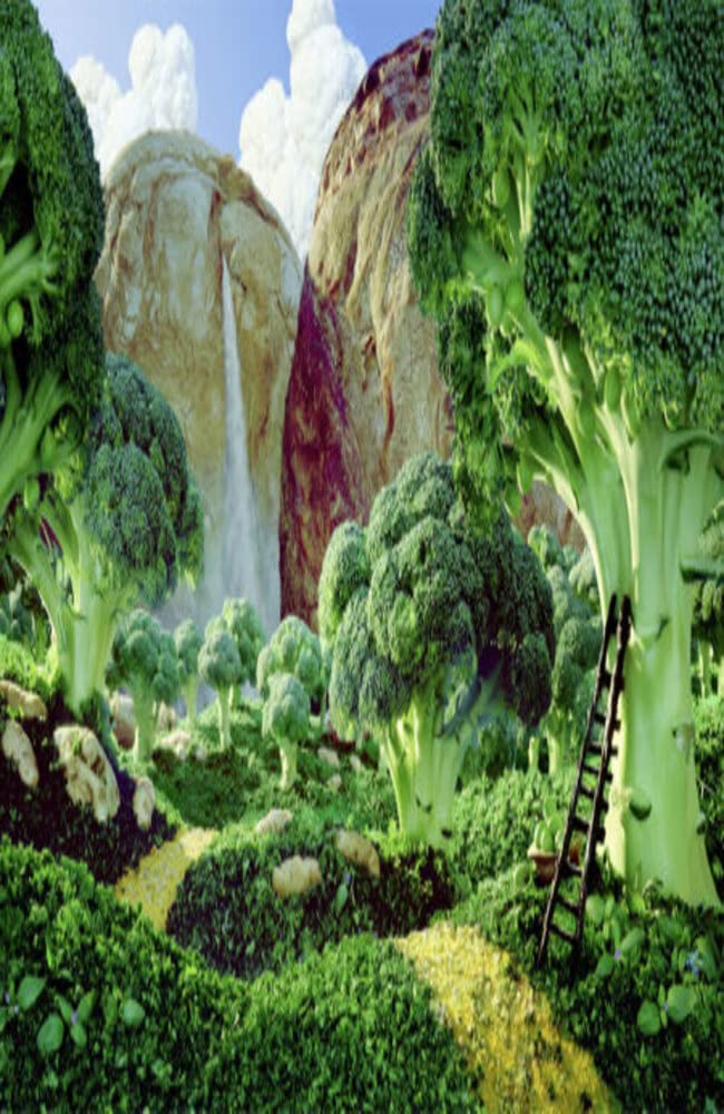 Gardening Coffee Table Book (Kindle Edition)