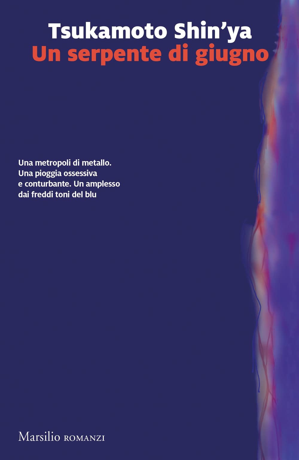 Un serpente di giugno (Paperback)