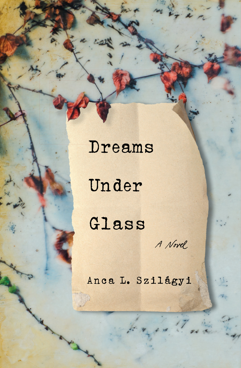 Dreams Under Glass (Paperback)