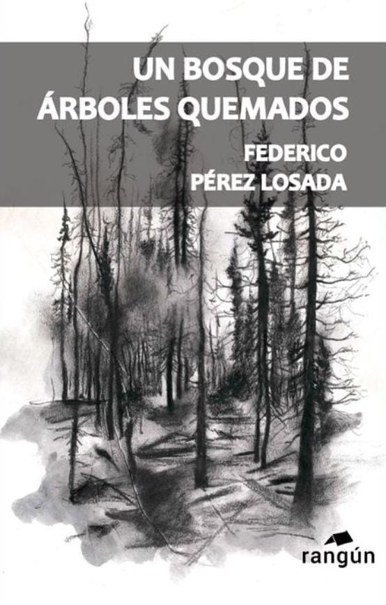 Un bosque de árboles quemados